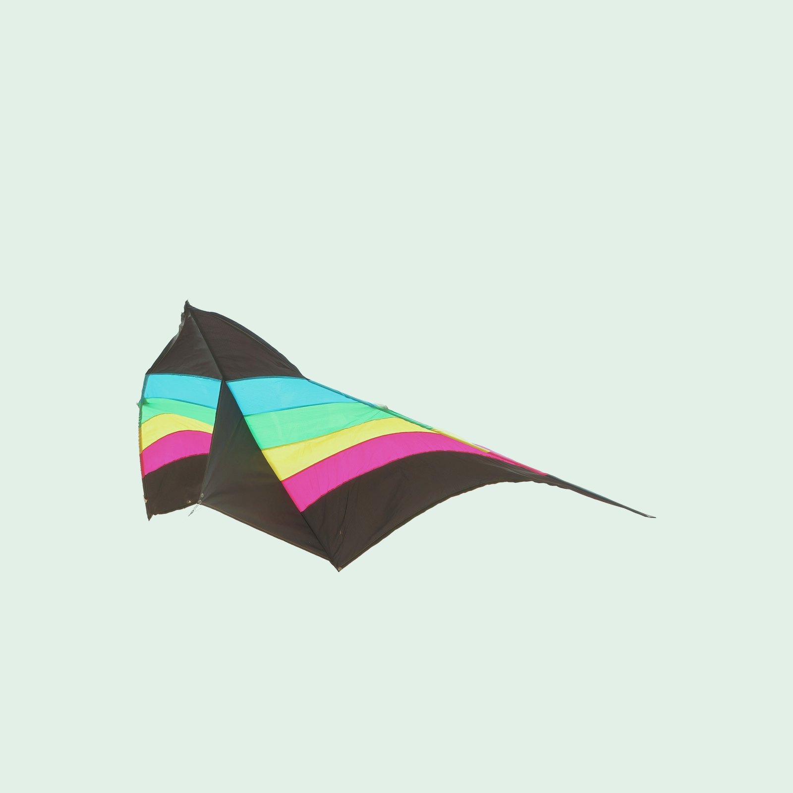 Stunt Kite