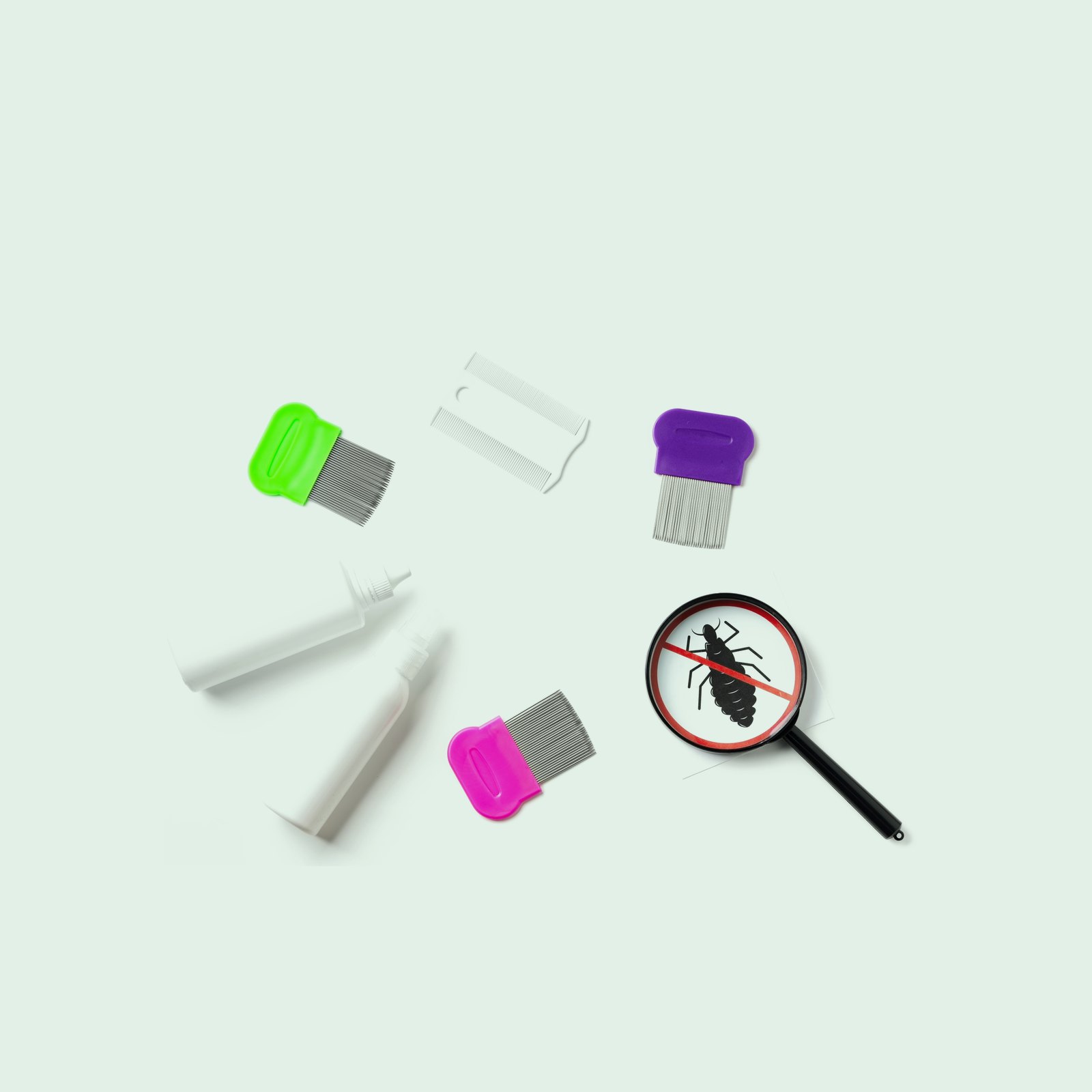 Bug Hunting Kit