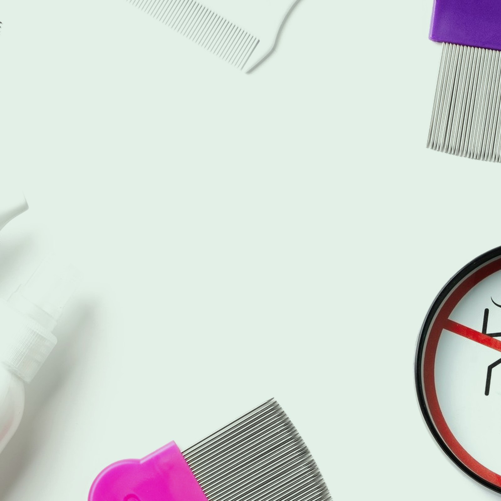 Bug Hunting Kit — 2