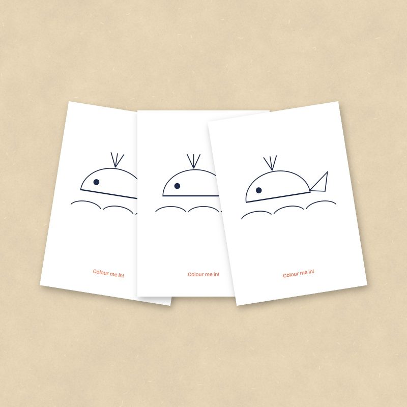 Colour-In Postcards, Whale, Set of 10